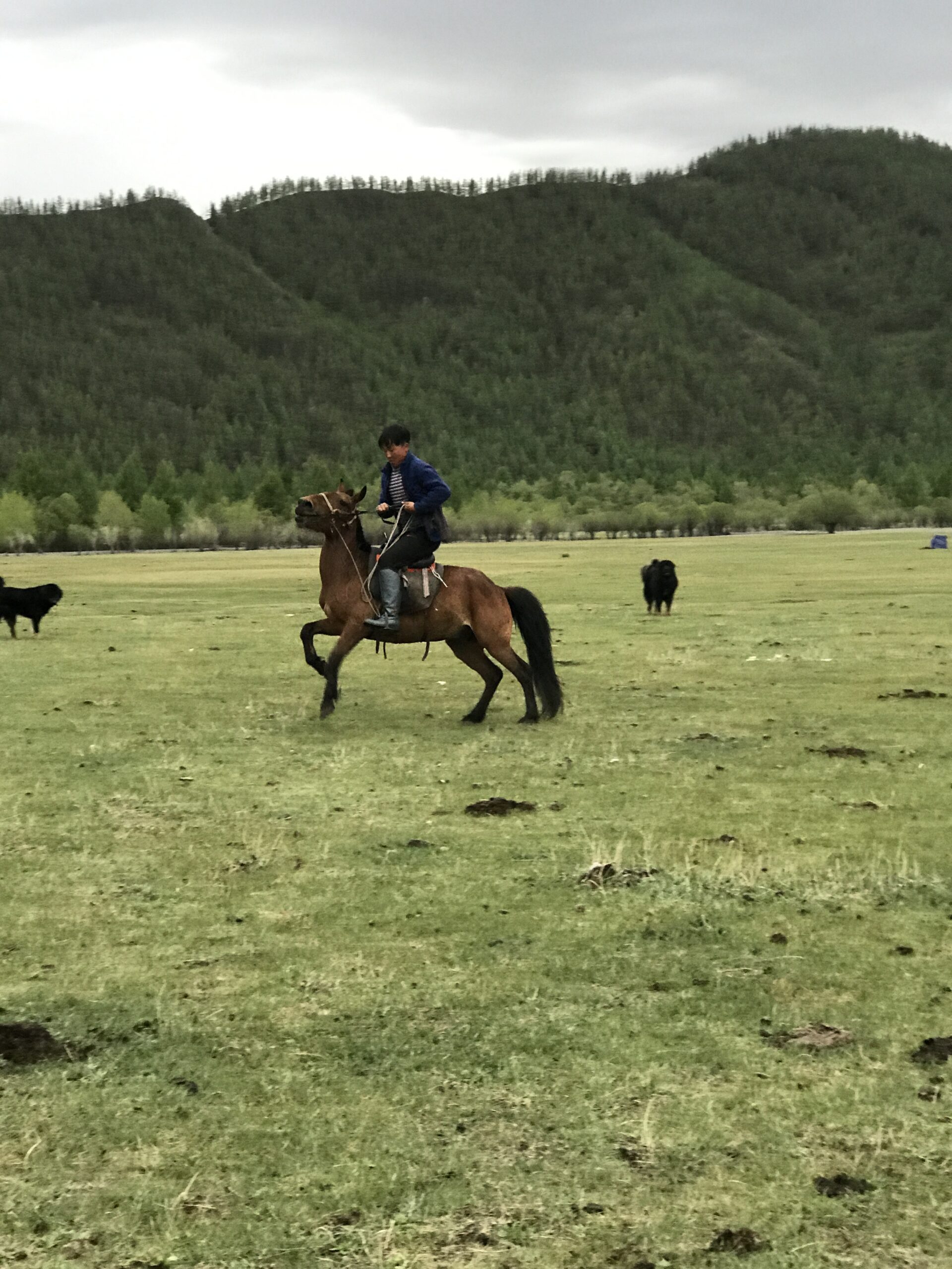 7-daagse Paardrijtocht Khagiin Khar Lake - Mongolië - Afbeelding 11
