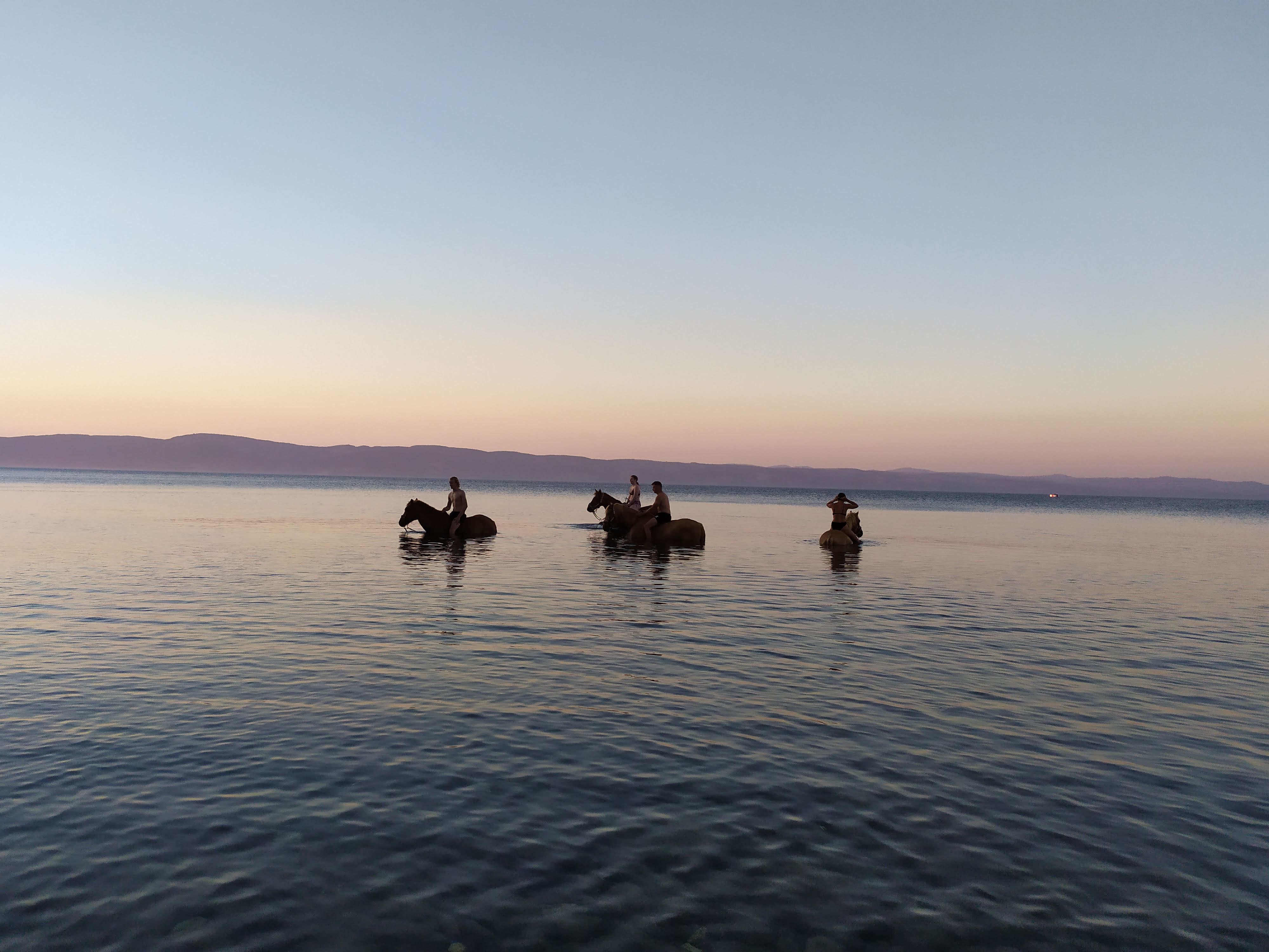 8-daagse standplaats paardrijvakantie Gevorderde ruiter Lesbos – Griekenland - Afbeelding 9