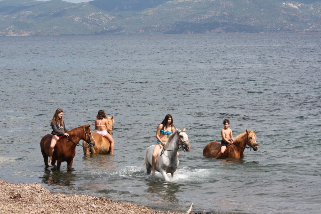 8-daagse standplaats paardrijvakantie Gevorderde ruiter Lesbos – Griekenland