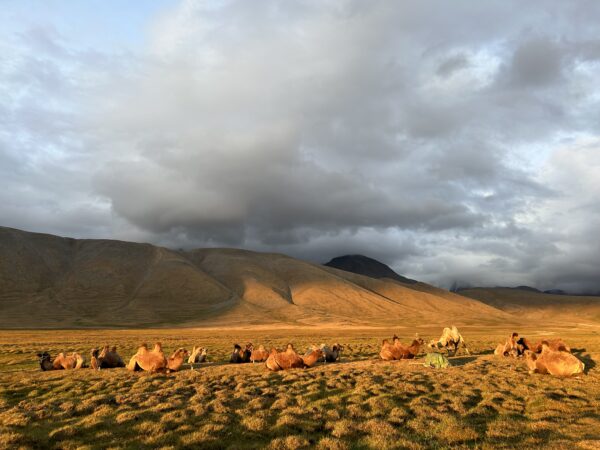 12-daagse Paardrijtocht Altai-gebergte - Mongolië