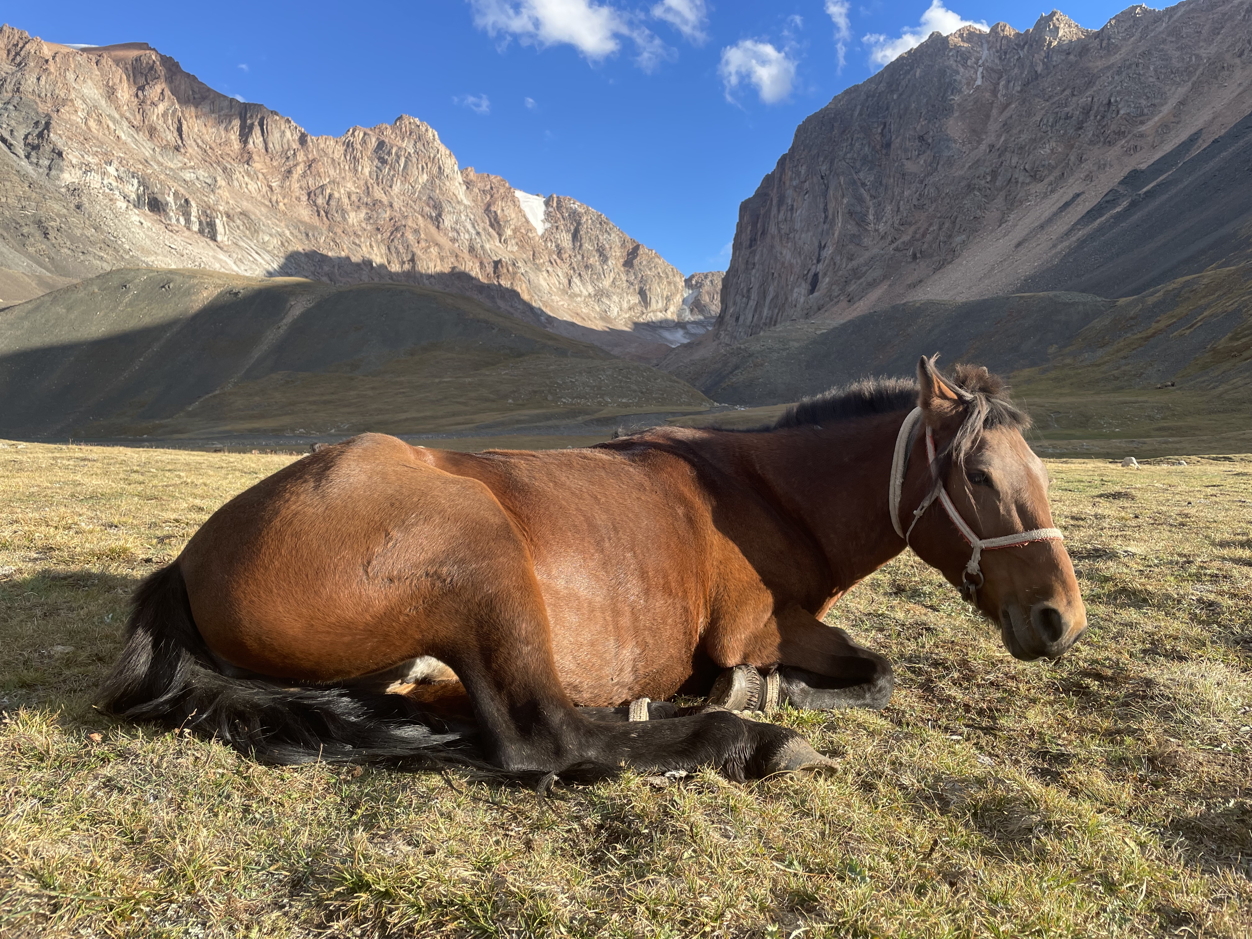 12-daagse Paardrijtocht Altai-gebergte - Mongolië - Afbeelding 62