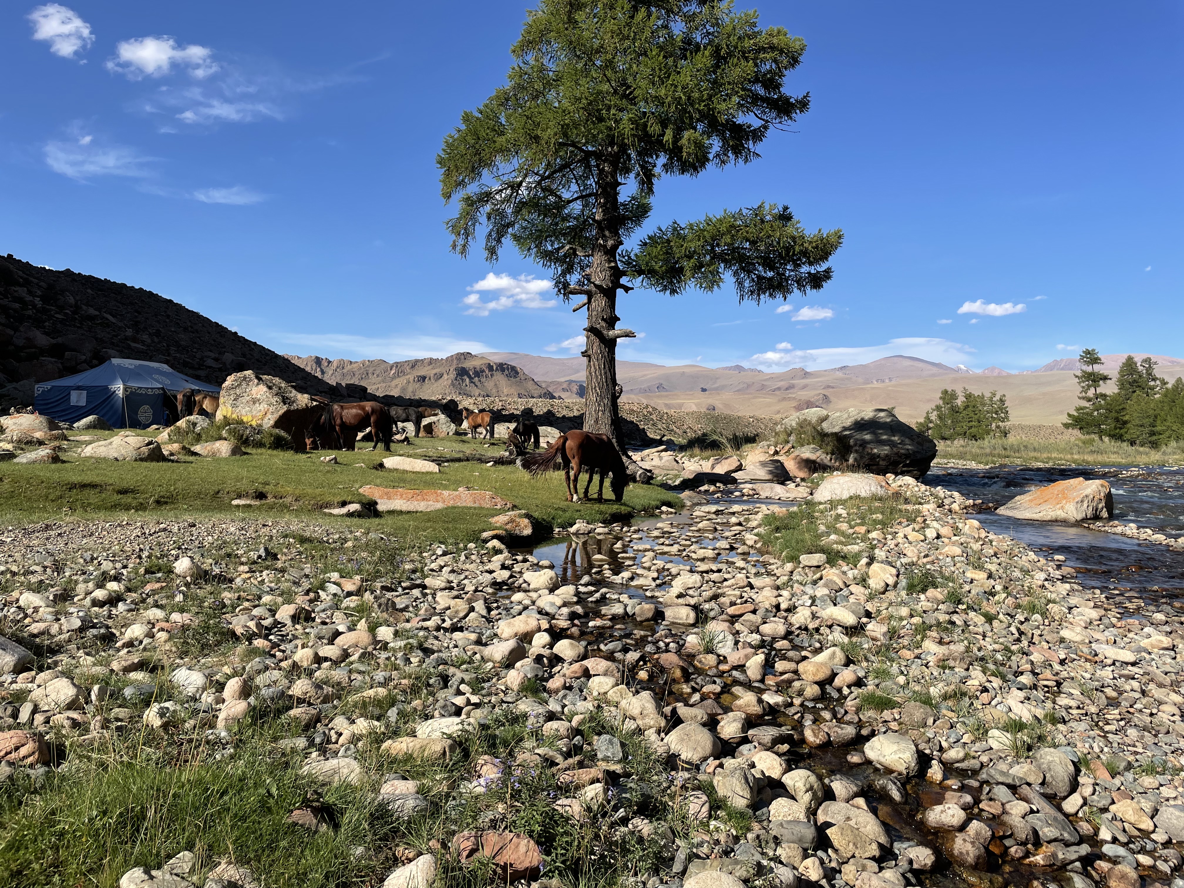 12-daagse Paardrijtocht Altai-gebergte - Mongolië - Afbeelding 60