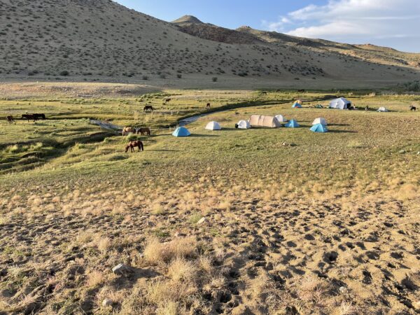 12-daagse Paardrijtocht Altai-gebergte - Mongolië