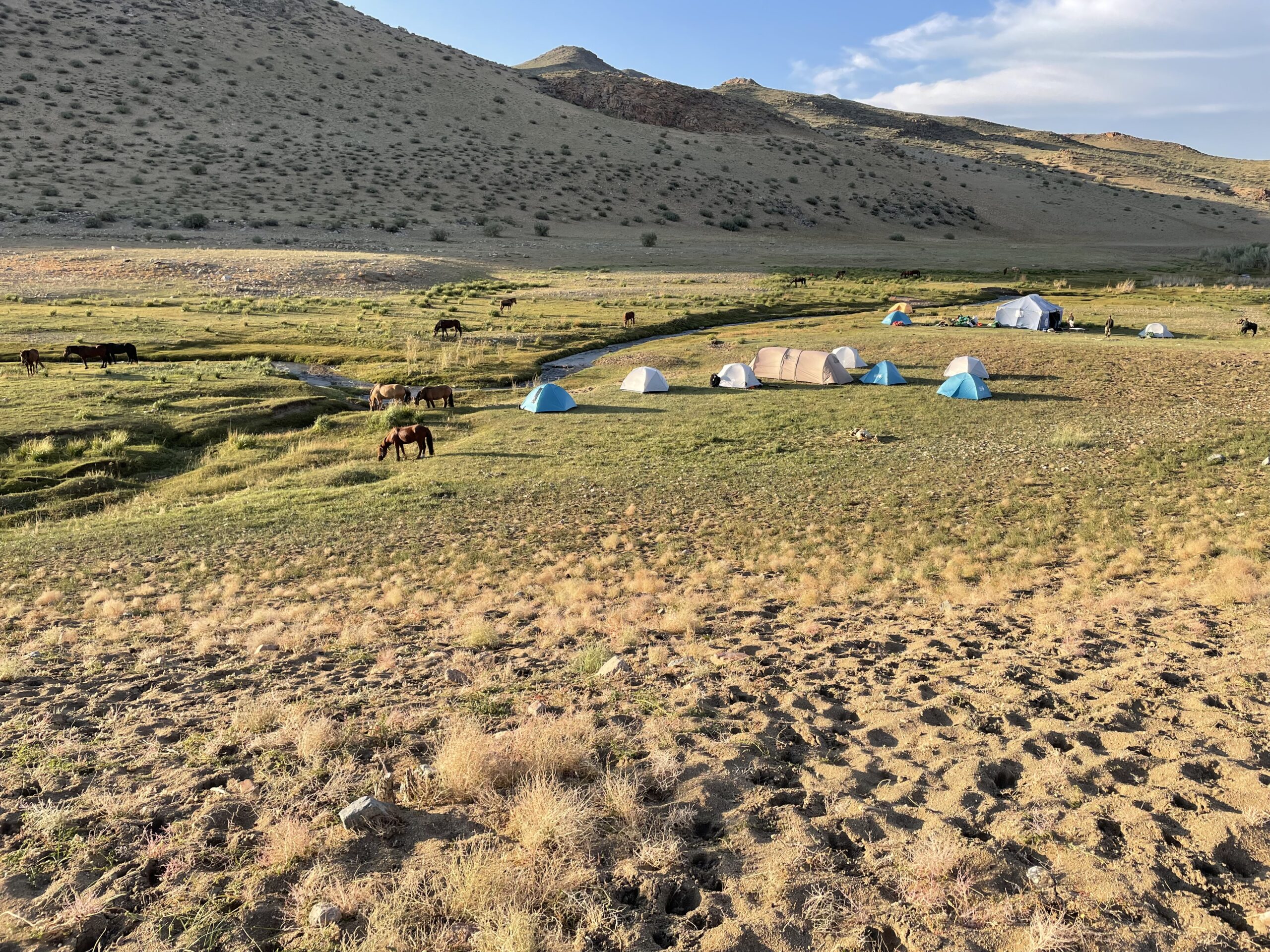 12-daagse Paardrijtocht Altai-gebergte - Mongolië - Afbeelding 25