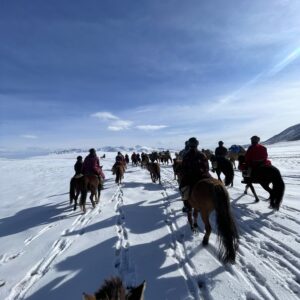 12-daagse Paardrijtocht Altai-gebergte - Mongolië - Afbeelding 26