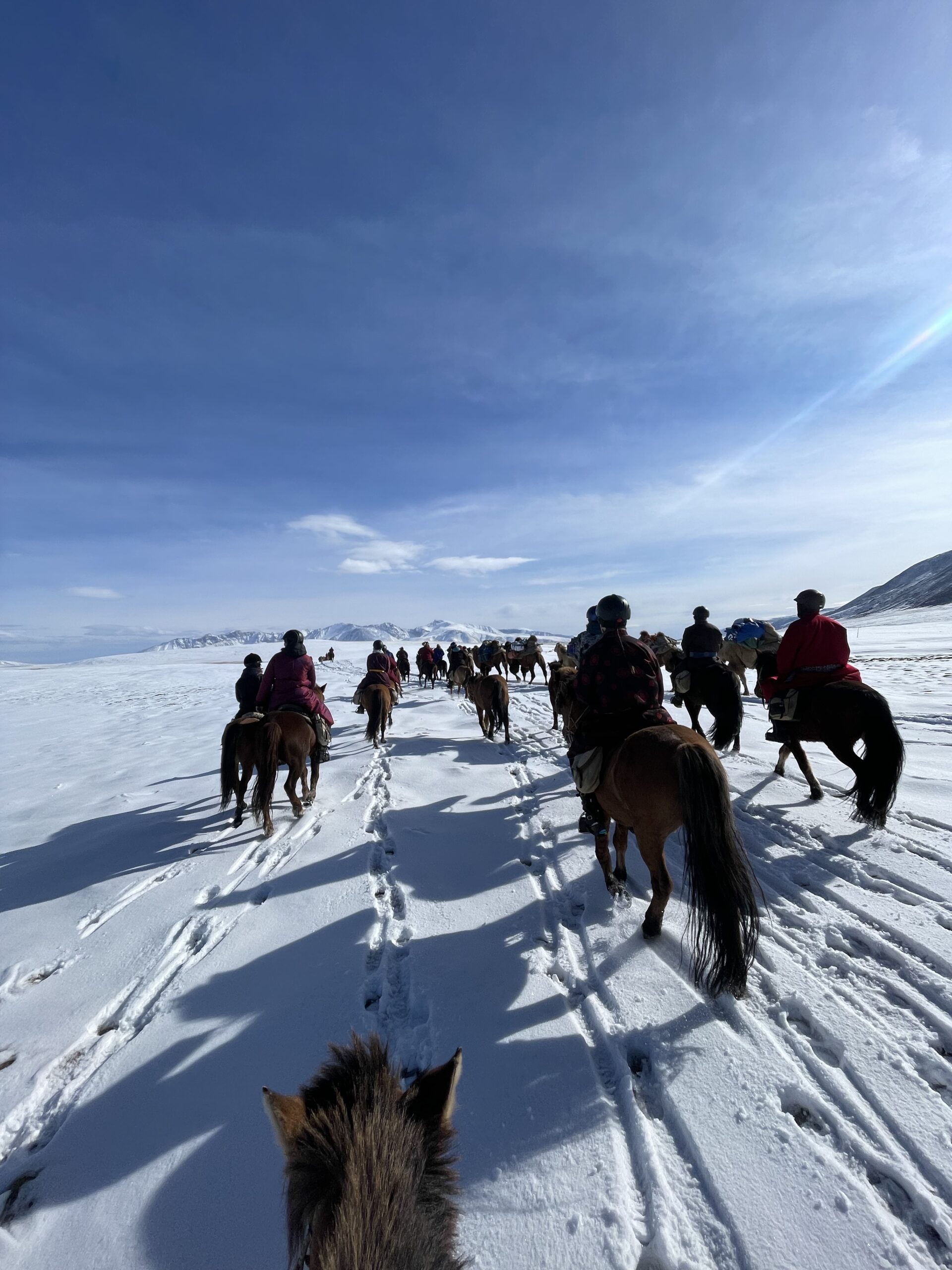 12-daagse Paardrijtocht Altai-gebergte - Mongolië - Afbeelding 26