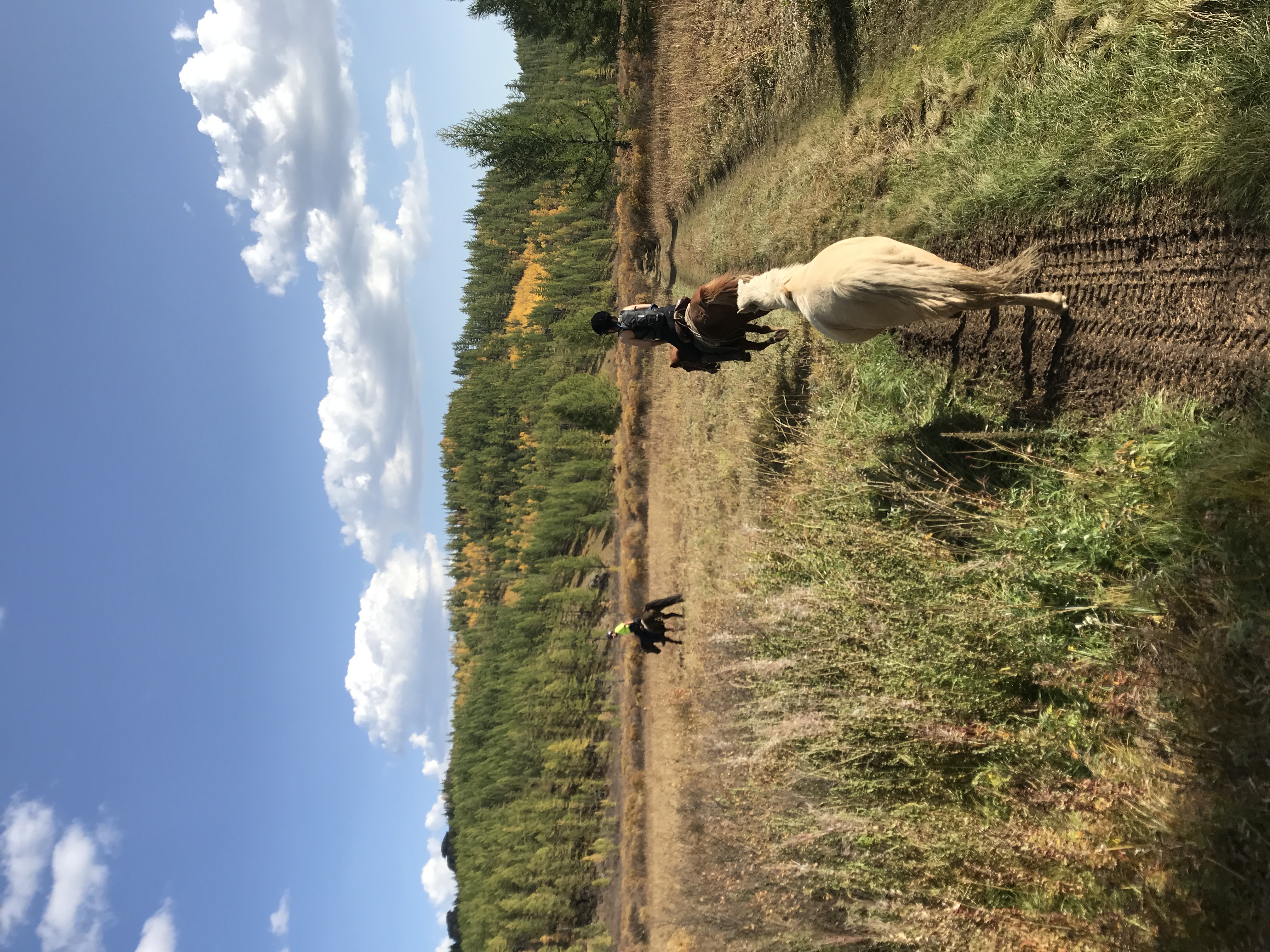 7-daagse Paardrijtocht Khagiin Khar Lake - Mongolië - Afbeelding 29