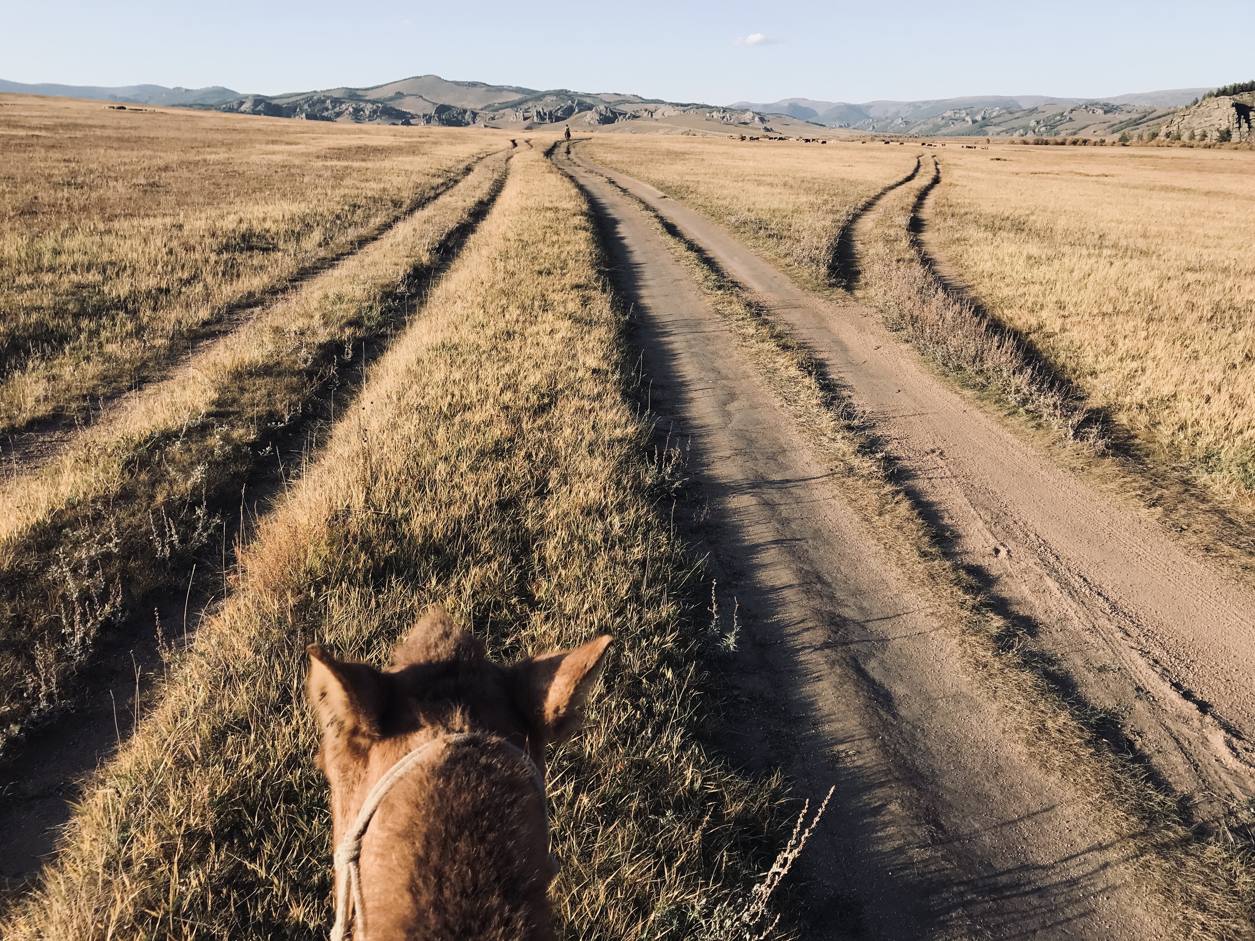 7-daagse Paardrijtocht Khagiin Khar Lake - Mongolië - Afbeelding 30