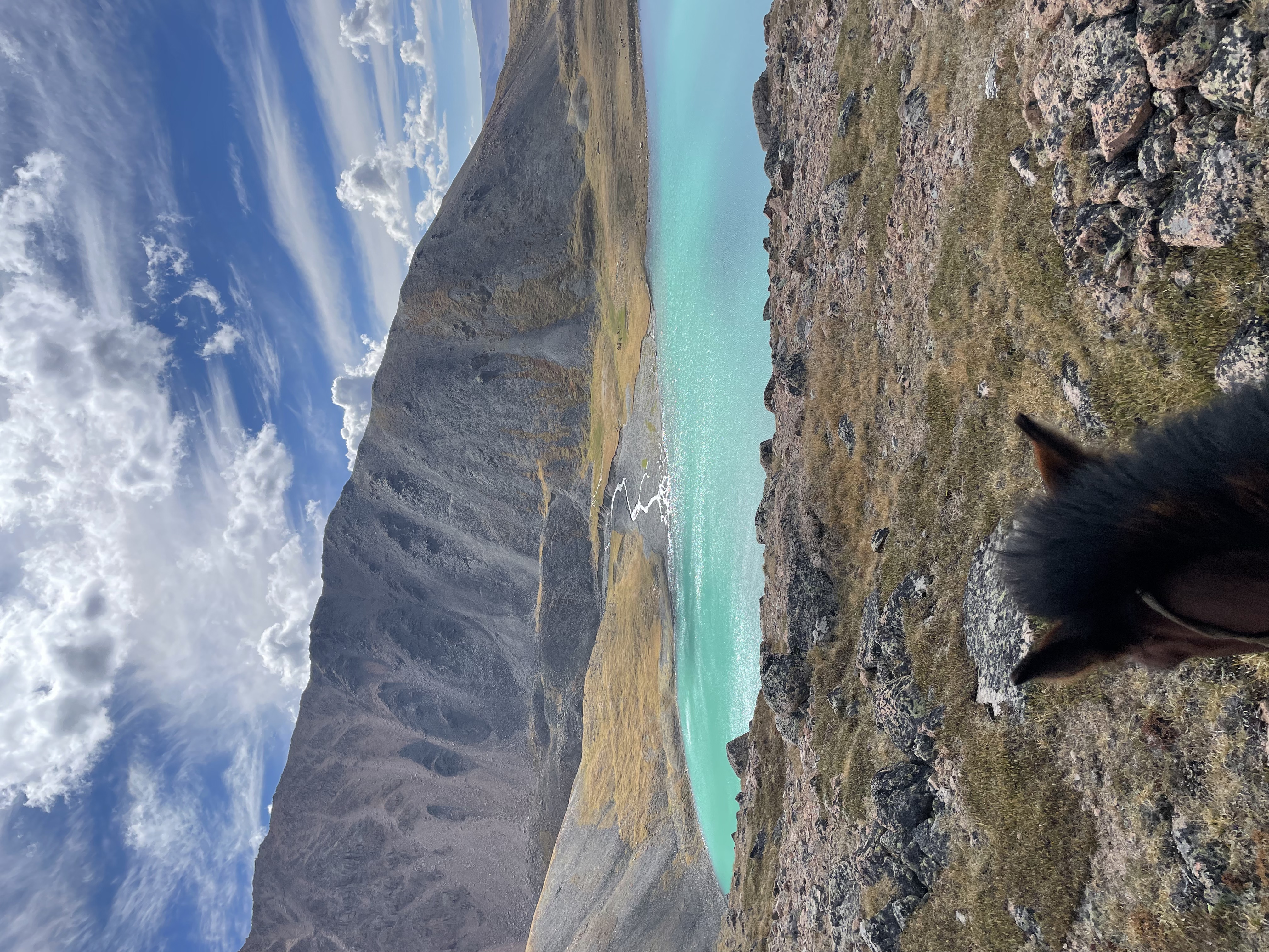 12-daagse Paardrijtocht Altai-gebergte - Mongolië - Afbeelding 57