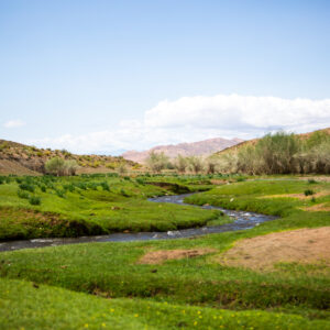12-daagse Paardrijtocht Altai-gebergte - Mongolië - Afbeelding 37
