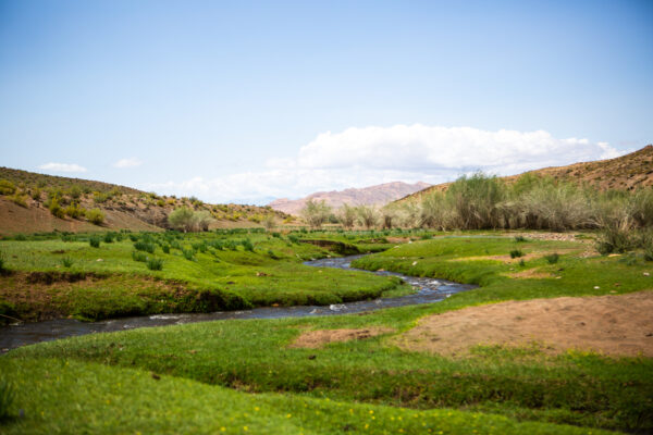 12-daagse Paardrijtocht Altai-gebergte - Mongolië