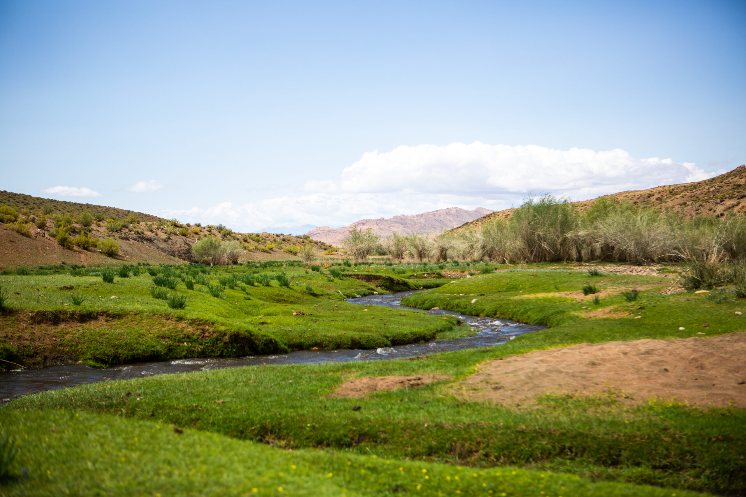 12-daagse Paardrijtocht Altai-gebergte - Mongolië - Afbeelding 37