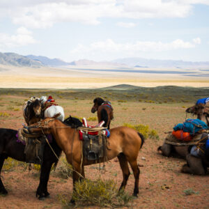 12-daagse Paardrijtocht Altai-gebergte - Mongolië - Afbeelding 38