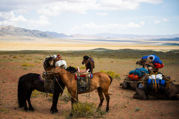 12-daagse Paardrijtocht Altai-gebergte - Mongolië