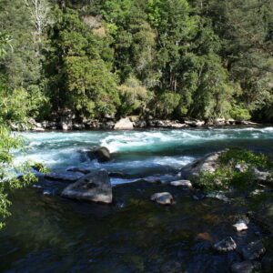 4-daagse paardrijtocht in Huerquehue National Park - Chili - Afbeelding 11