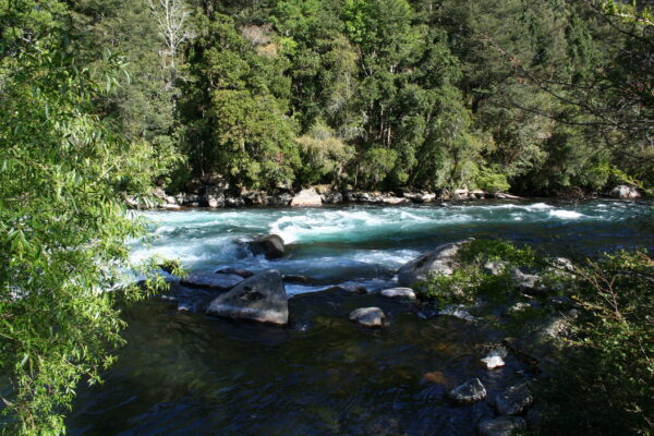 4-daagse paardrijtocht in Huerquehue National Park - Chili