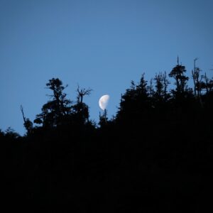 4-daagse paardrijtocht in Huerquehue National Park - Chili - Afbeelding 20