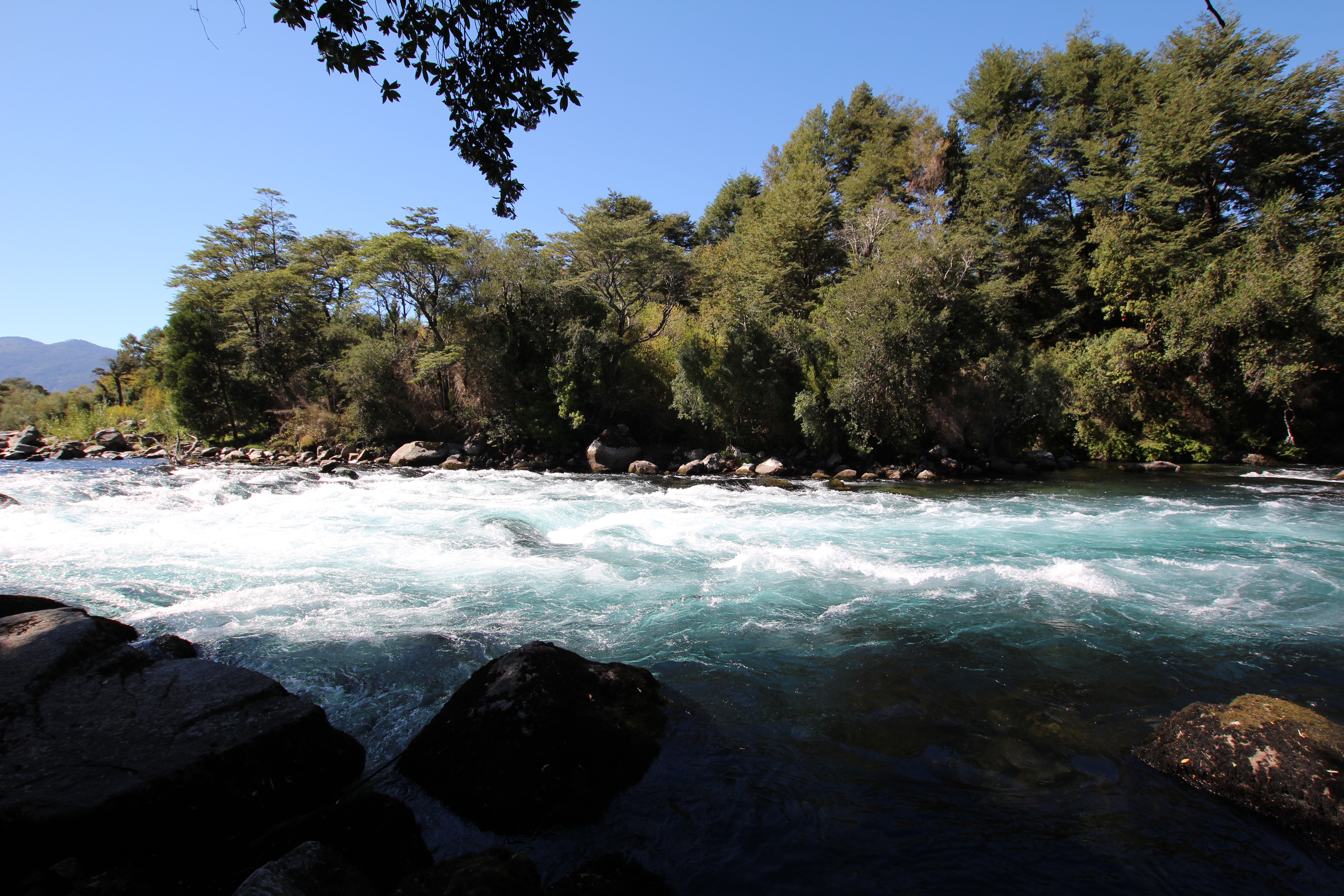 4-daagse paardrijtocht in Nationaal Park Villarrica - Chili - Afbeelding 14