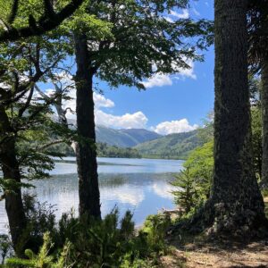 4-daagse paardrijtocht in Huerquehue National Park - Chili - Afbeelding 19