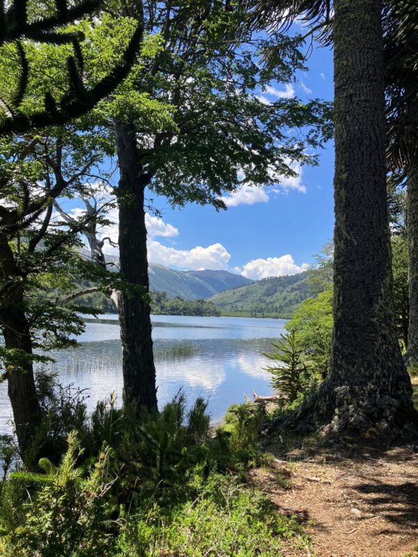 4-daagse paardrijtocht in Huerquehue National Park - Chili