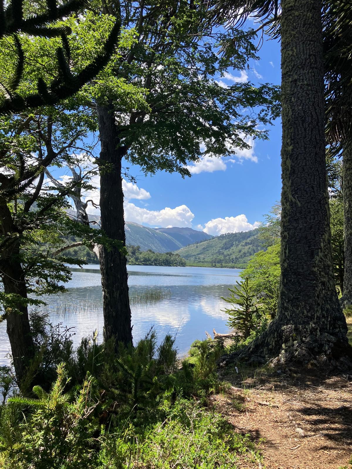 4-daagse paardrijtocht in Huerquehue National Park - Chili - Afbeelding 19