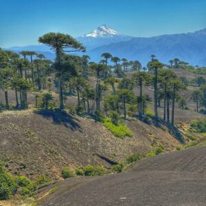 4-daagse paardrijtocht in Huerquehue National Park - Chili - Afbeelding 21