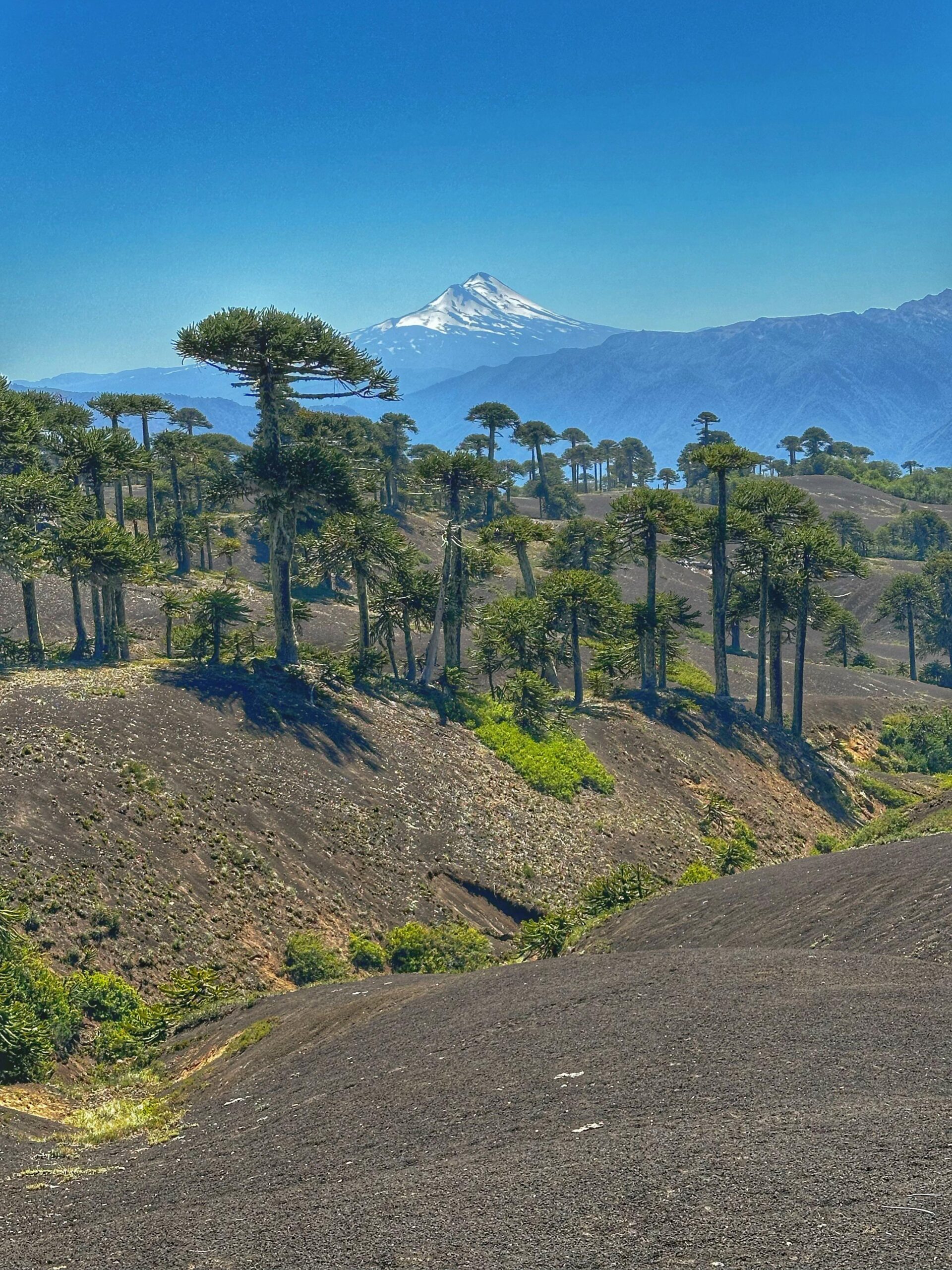 4-daagse paardrijtocht in Huerquehue National Park - Chili - Afbeelding 21