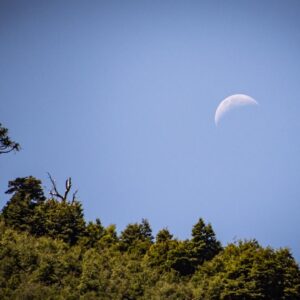 4-daagse paardrijtocht in Nationaal Park Villarrica - Chili - Afbeelding 13