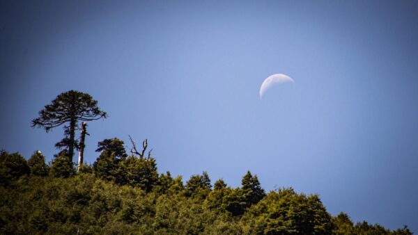 4-daagse paardrijtocht in Nationaal Park Villarrica - Chili