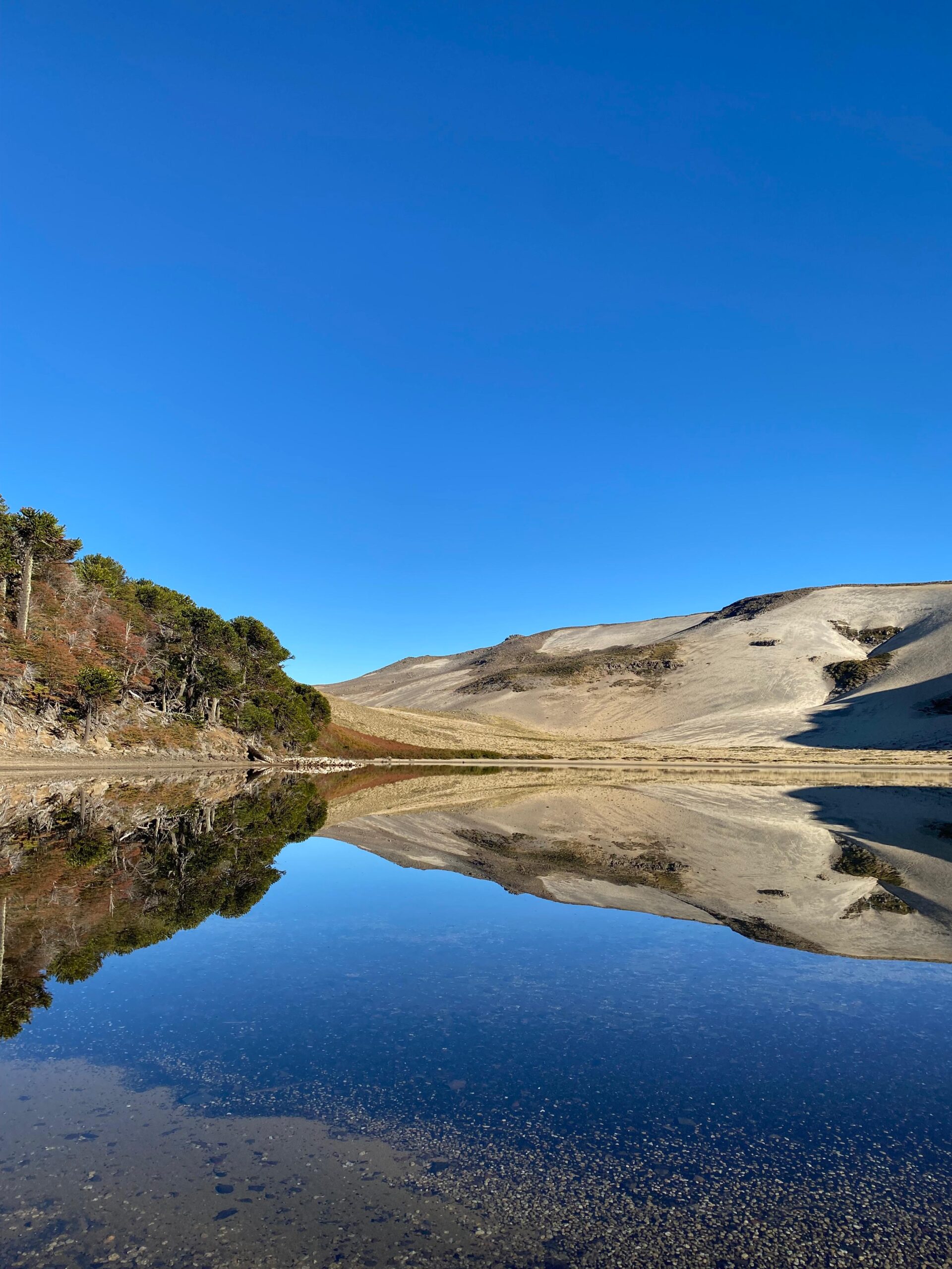 4-daagse paardrijtocht in Huerquehue National Park - Chili - Afbeelding 18