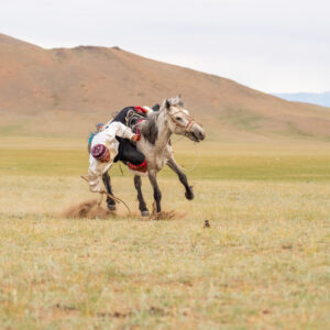 12-daagse Paardrijtocht Altai-gebergte - Mongolië - Afbeelding 44