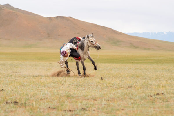 12-daagse Paardrijtocht Altai-gebergte - Mongolië