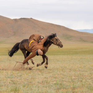 12-daagse Paardrijtocht Altai-gebergte - Mongolië - Afbeelding 45