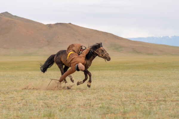 12-daagse Paardrijtocht Altai-gebergte - Mongolië