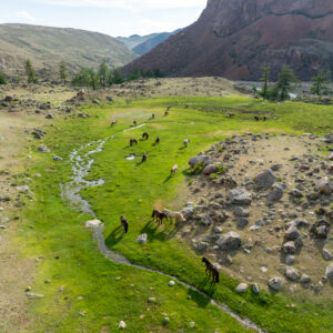 12-daagse Paardrijtocht Altai-gebergte - Mongolië - Afbeelding 47
