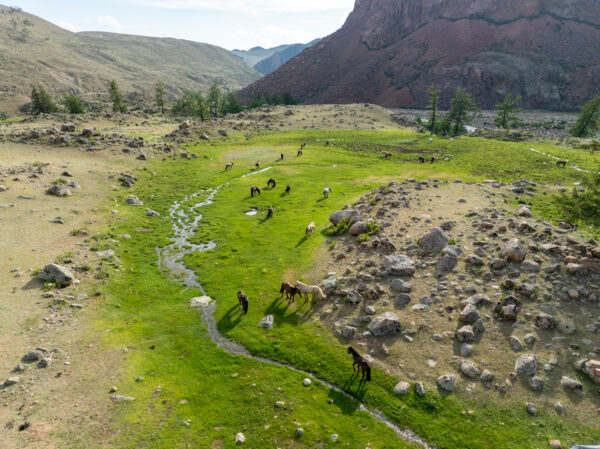 12-daagse Paardrijtocht Altai-gebergte - Mongolië