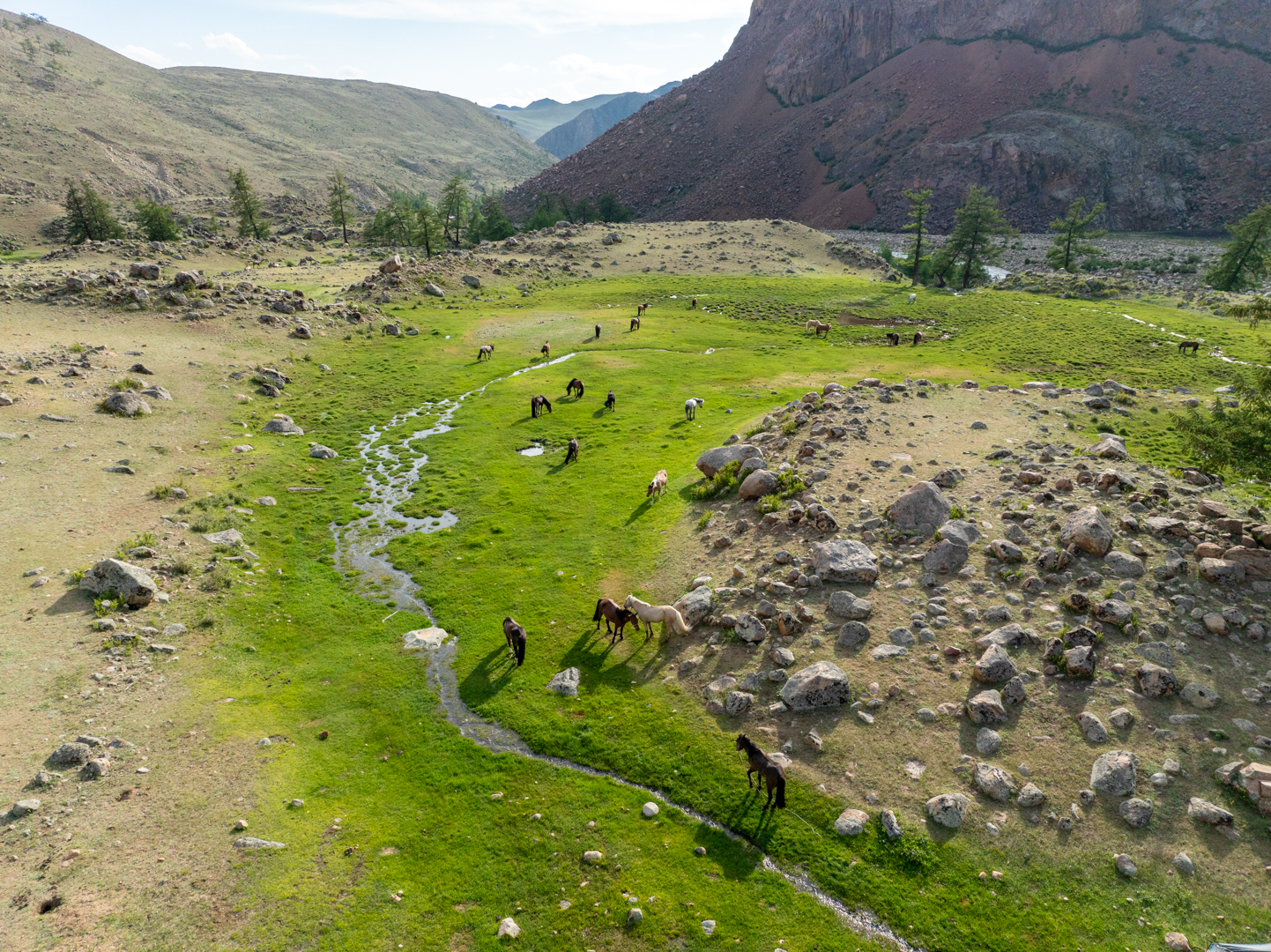 12-daagse Paardrijtocht Altai-gebergte - Mongolië - Afbeelding 47