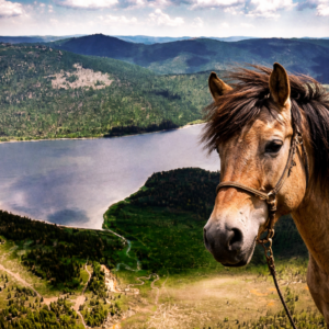 12-daagse Paardrijexpeditie Rendiernomaden & de diepe taiga - Mongolië - Afbeelding 3
