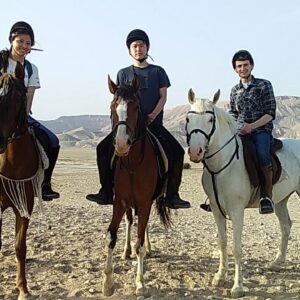 7-daagse Paardrijtocht Luxor en Hurghada - Egypte - Afbeelding 20