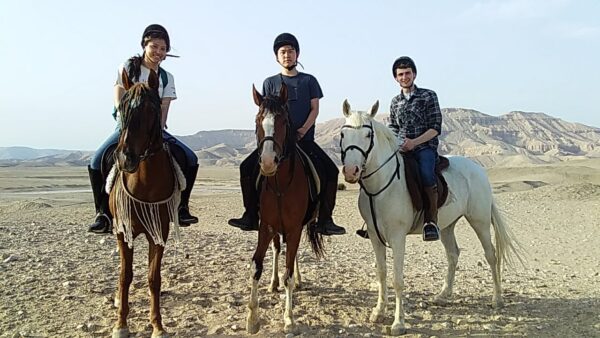 7-daagse Paardrijtocht Luxor en Hurghada - Egypte