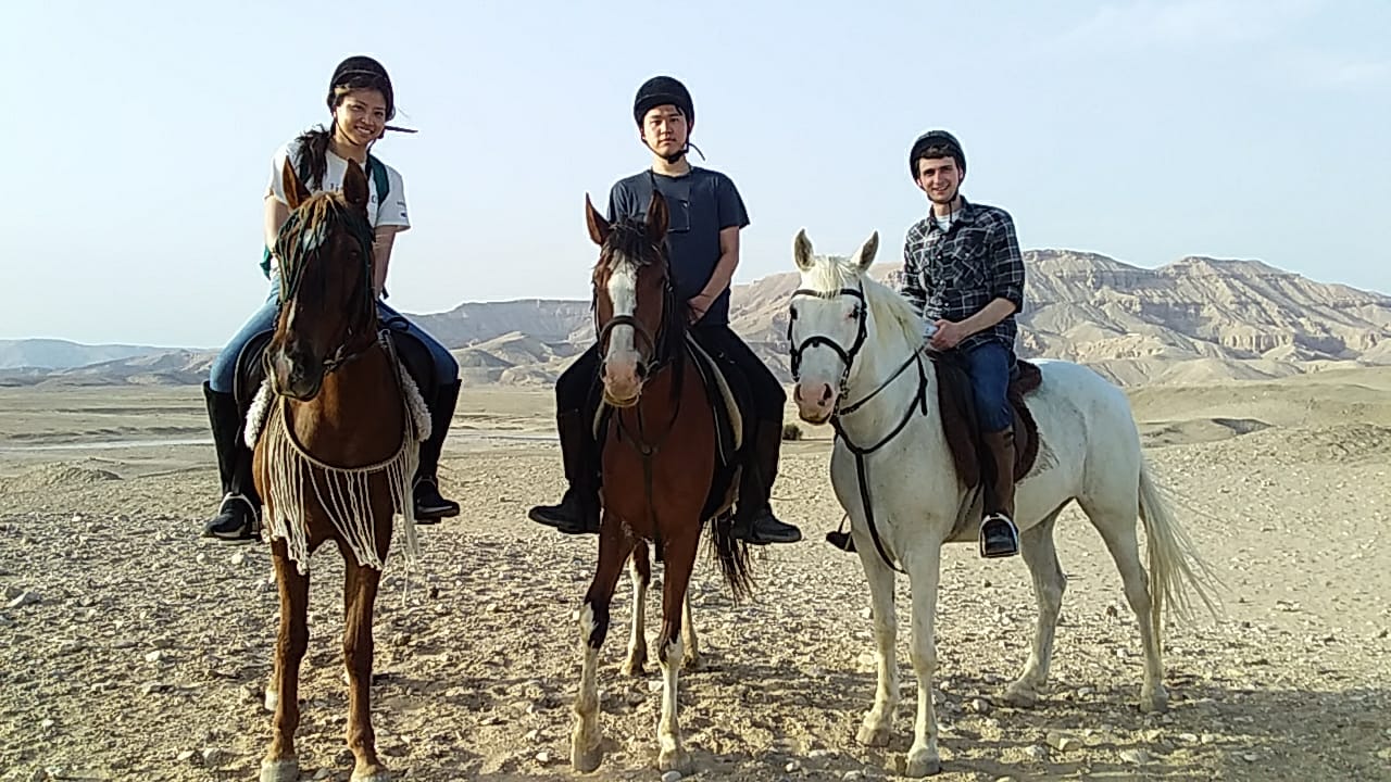 7-daagse Paardrijtocht Luxor en Hurghada - Egypte - Afbeelding 20