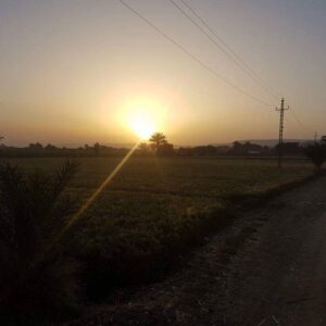 7-daagse Paardrijtocht Luxor en Hurghada - Egypte - Afbeelding 5