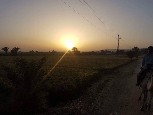 7-daagse Paardrijtocht Luxor en Hurghada - Egypte