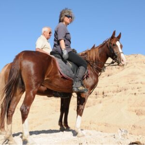 7-daagse Paardrijtocht Luxor en Hurghada - Egypte - Afbeelding 3