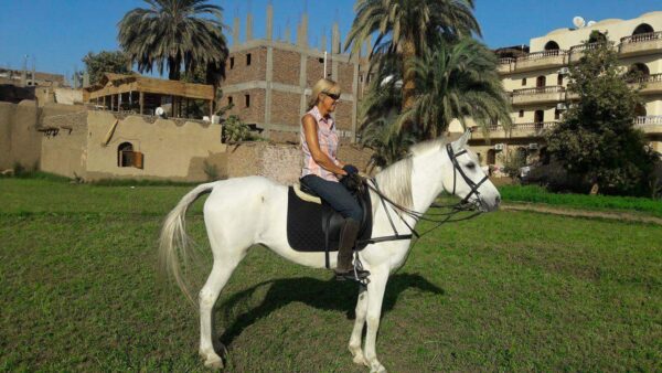 7-daagse Paardrijtocht Luxor en Hurghada - Egypte