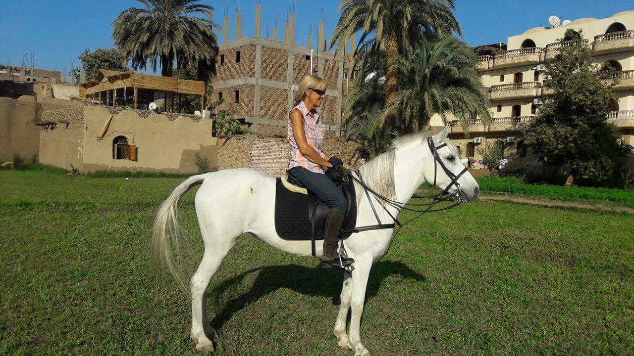 7-daagse Paardrijtocht Luxor en Hurghada - Egypte - Afbeelding 2