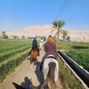 7-daagse Paardrijtocht Luxor en Hurghada - Egypte - Afbeelding 7