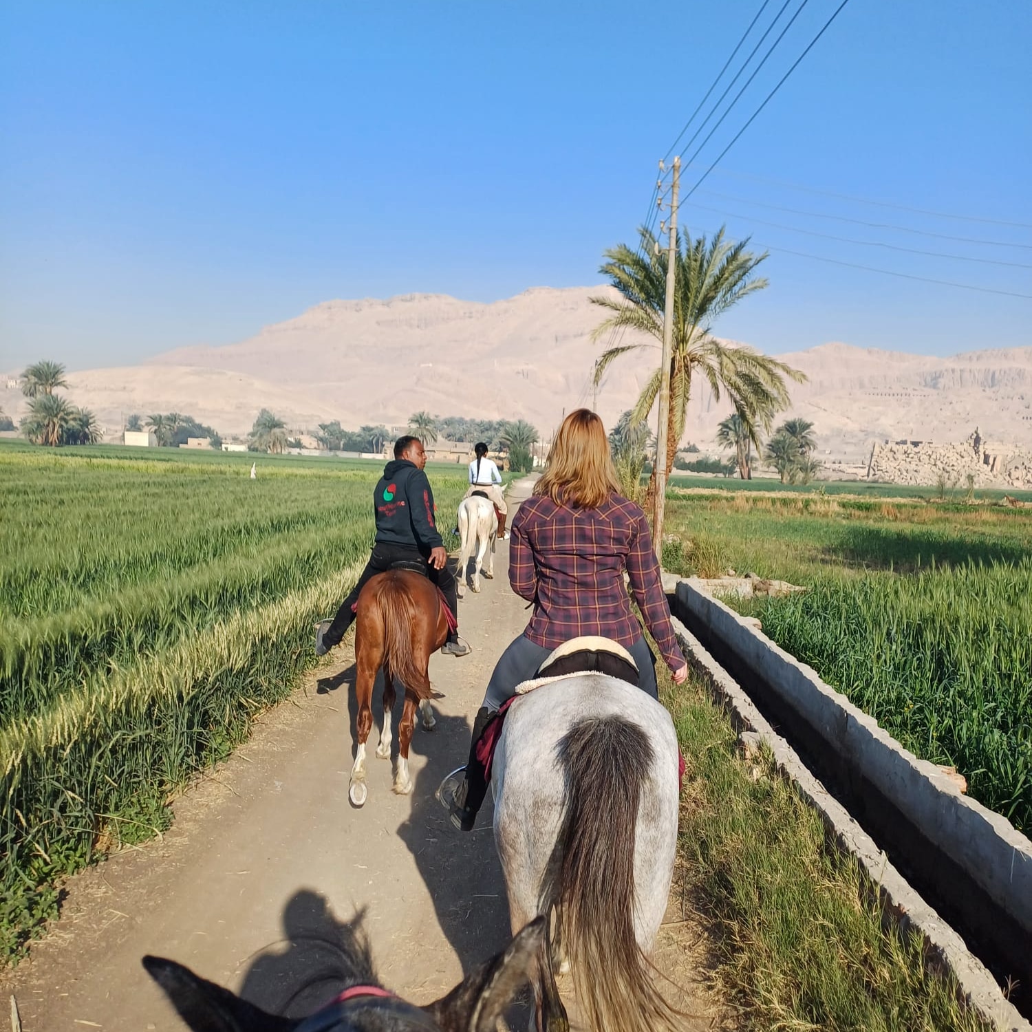 7-daagse Paardrijtocht Luxor en Hurghada - Egypte - Afbeelding 7