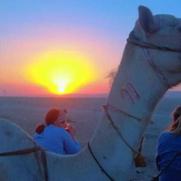 7-daagse Paardrijtocht Luxor en Hurghada - Egypte