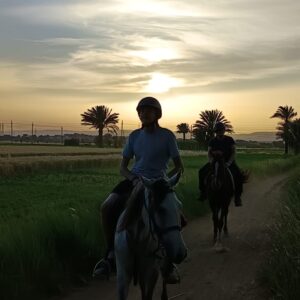 7-daagse Paardrijtocht Luxor en Hurghada - Egypte - Afbeelding 12